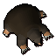 12646_Baby mole.png